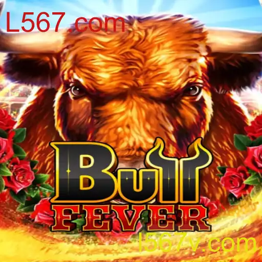 Descubra o Mundo Empolgante de BullFever